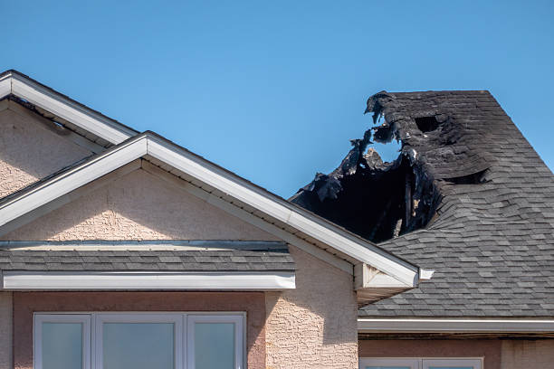 Licensed Fire Damage Removal service in Bethel, WA - Fire Damage Biloxi